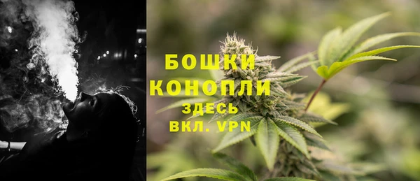 стаф Нефтекумск