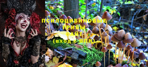 герыч Белокуриха