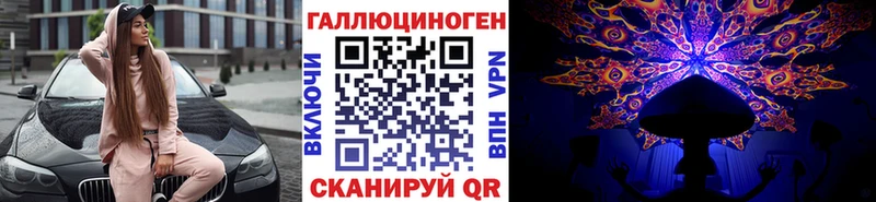 Купить  Богданович  Галлюциногенные грибы Psilocybine cubensis 